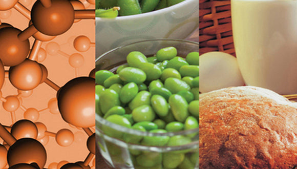 Alimentos ricos en péptidos