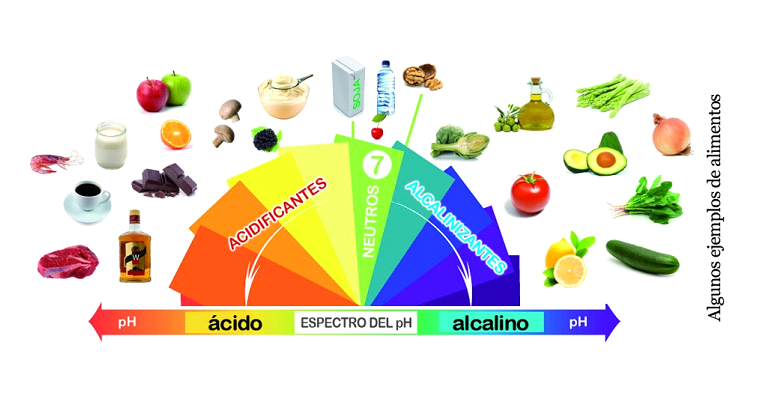 Descripción del negocio ancla Acumulativo Dieta alcalina: ¿realmente útil? - Blog MASmusculo