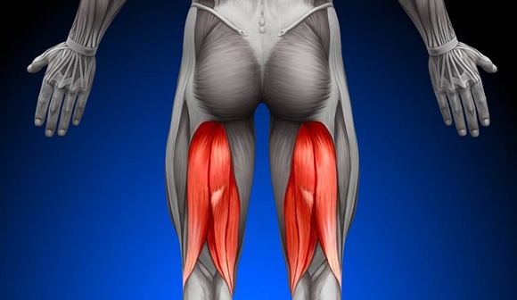 Cómo aliviar los nudos en el tendón de la corva - Blog MASmusculo