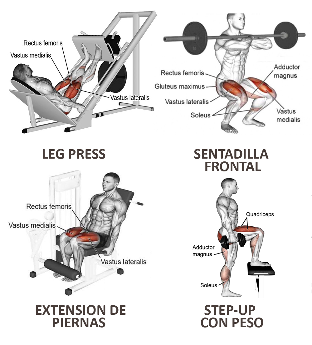 estropeado Higgins Serpiente Los mejores ejercicios para piernas - Entrenamiento - Blog MASmusculo