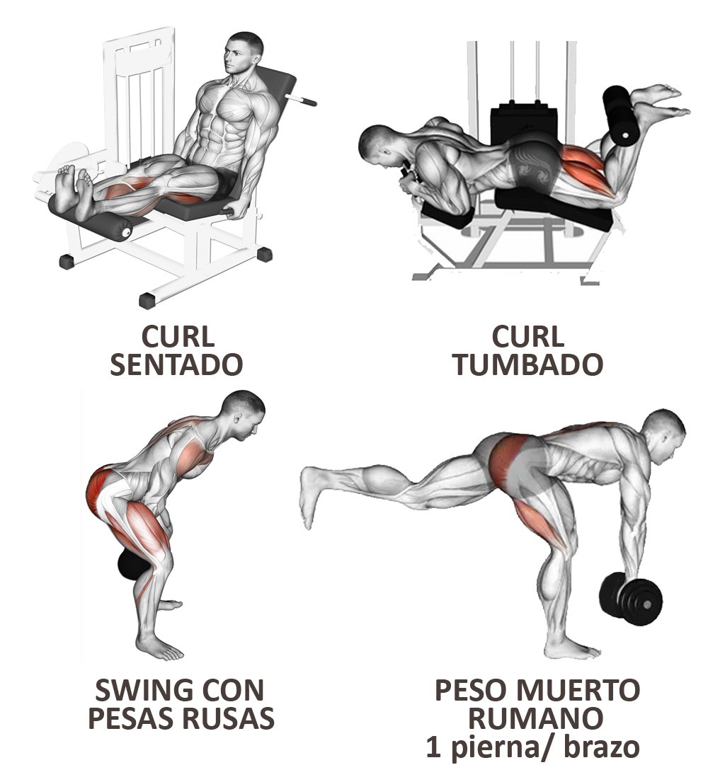 estropeado Higgins Serpiente Los mejores ejercicios para piernas - Entrenamiento - Blog MASmusculo