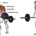Entrenamiento de Espalda