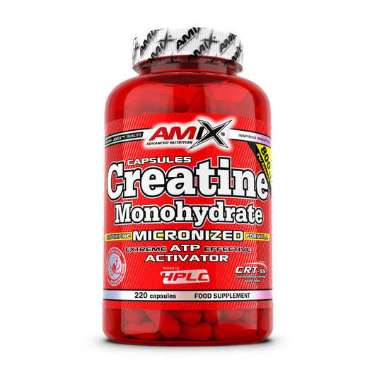 Creatina Monohidrato Micronizada de la marca Amix Nutrition en Creatina monohidrato