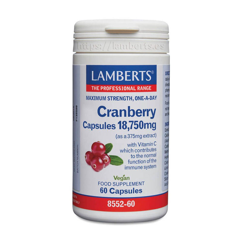 Arándano Rojo - Lamberts 0