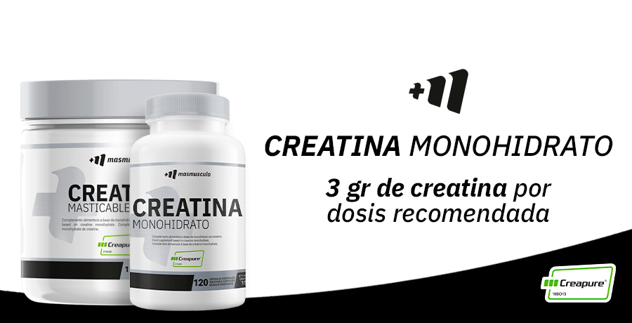 Footer Creatina Cpsula + masticable n.pn