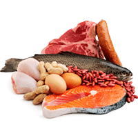 Alimentos frescos